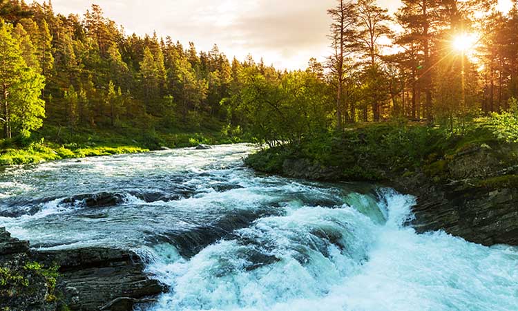 Scenic river in Norway