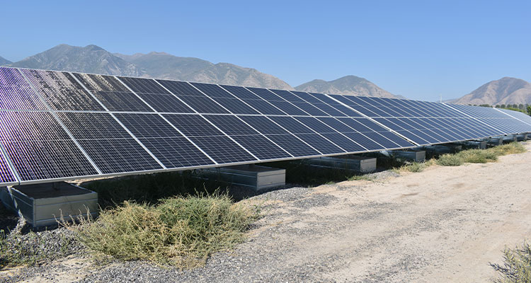 a large array of solar panels